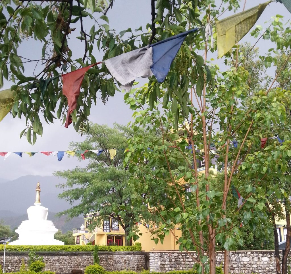 Jetsuma Tenzin Palmo Nunnery 2017